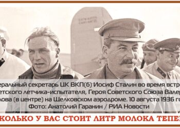 Упрямые факты и корова Маняшка